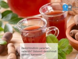 Demirhindinin yararları nelerdir? Sistemli demirhindi şerbeti içerseniz…