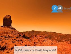 NASA, Mars’ta Fosil Arayacak!