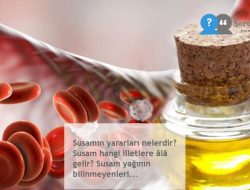 Susamın Yararları Nelerdir | Susamın Mucizevi Dünyası! Yağının Sırları