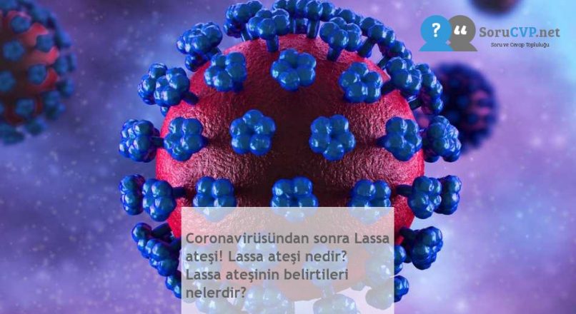 Coronavirüsündan sonra Lassa ateşi! Lassa ateşi nedir? Lassa ateşinin belirtileri nelerdir?