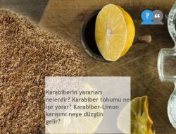 Karabiberin yararları nelerdir? Karabiber tohumu ne işe yarar? Karabiber-Limon karışımı neye düzgün gelir?