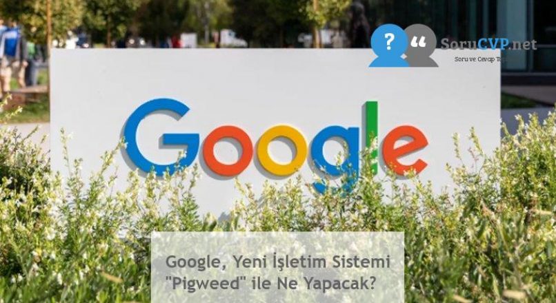 Google, Yeni İşletim Sistemi “Pigweed” ile Ne Yapacak?