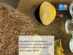 Karabiber ve karabiberin tohumunun yararları nelerdir? Karabiber-Limon karışımı neye uygun gelir?