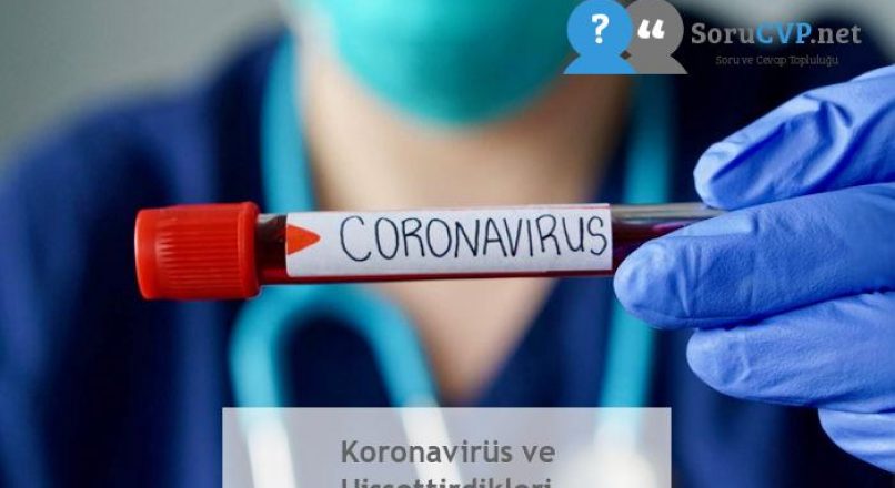 Koronavirüs ve Hissettirdikleri