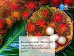 Rambutan nedir? Rambutan meyvesinin yararları nelerdir? Rambutan nasıl yenir?
