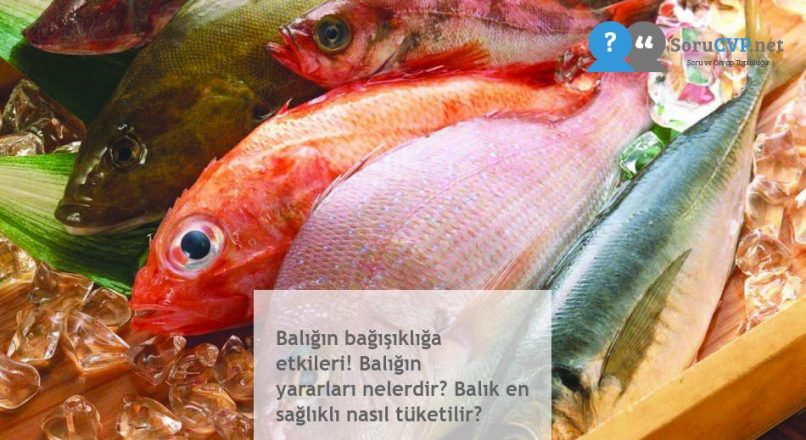Balığın bağışıklığa etkileri! Balığın yararları nelerdir? Balık en sağlıklı nasıl tüketilir?