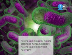 Kolera salgını nedir? Kolera salgını ne hengam başladı? Kolera salgını belirtileri nelerdir?