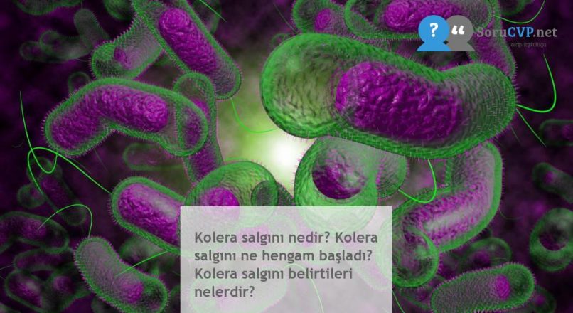 Kolera salgını nedir? Kolera salgını ne hengam başladı? Kolera salgını belirtileri nelerdir?