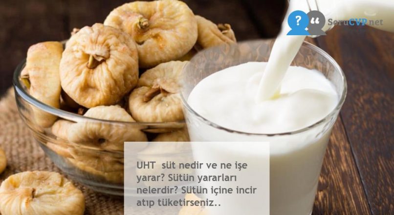 UHT  süt nedir ve ne işe yarar? Sütün yararları nelerdir? Sütün içine incir atıp tüketirseniz..
