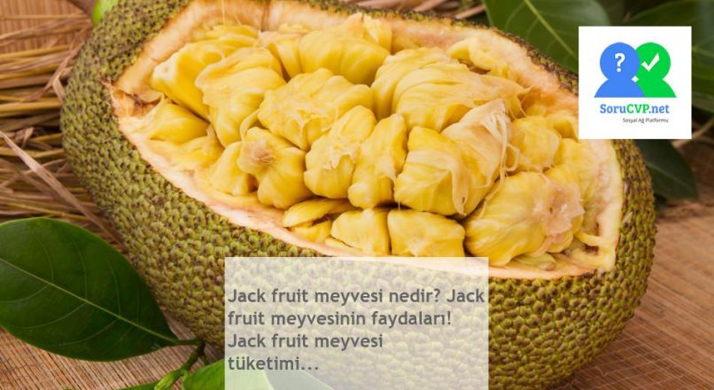 Jack fruit meyvesi nedir? Jack fruit meyvesinin faydaları! Jack fruit meyvesi tüketimi…