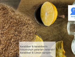 Karabiber & karabiberin tohumunun yararları nelerdir? Karabiber & Limon karışımı