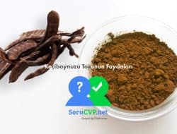 Keçiboynuzu Tozu Faydaları – Doğanın Tatlı Şifası! Faydaları, Kullanımı ve Merak Edilen Her Şey