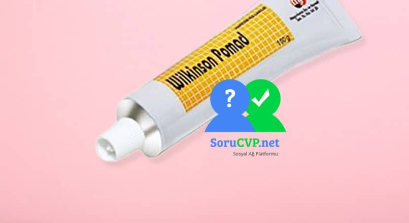 Wilkinson Pomad 100g: Nedir, Ne İşe Yarar? Uyuz Tedavisinde Etkili mi? [2025]